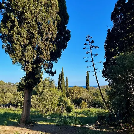Hébergement de vacances Les D'ostriconi - Ogliastro *