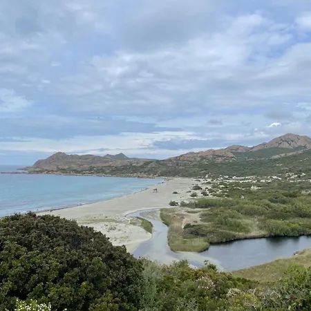 Les D'ostriconi - Ogliastro * Palasca (Corsica)