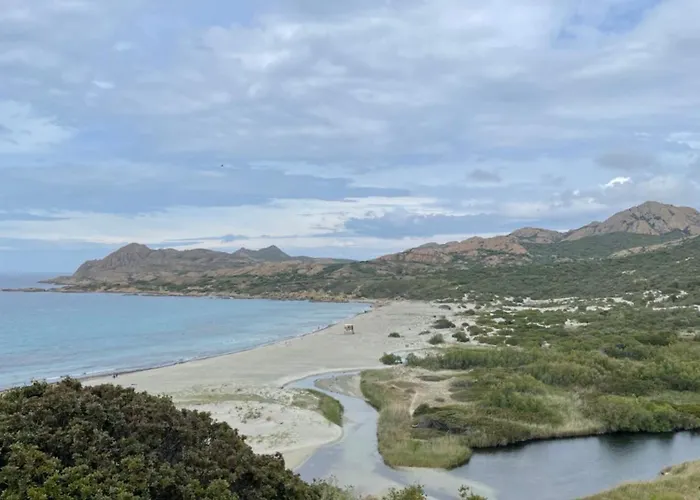 Les D'ostriconi - Ogliastro * Palasca (Corsica)