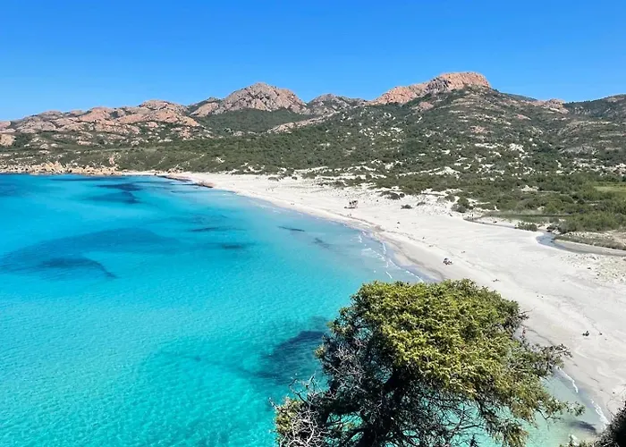 Les D'ostriconi - Ogliastro * Palasca (Corsica)